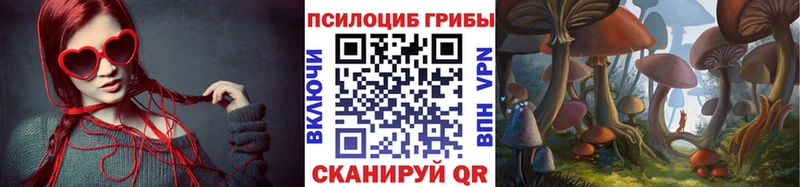 Купить где  Полевской  Галлюциногенные грибы GOLDEN TEACHER 