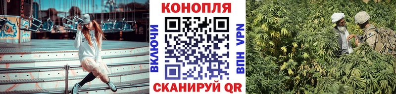 Конопля MAZAR Купить закладки Полевской